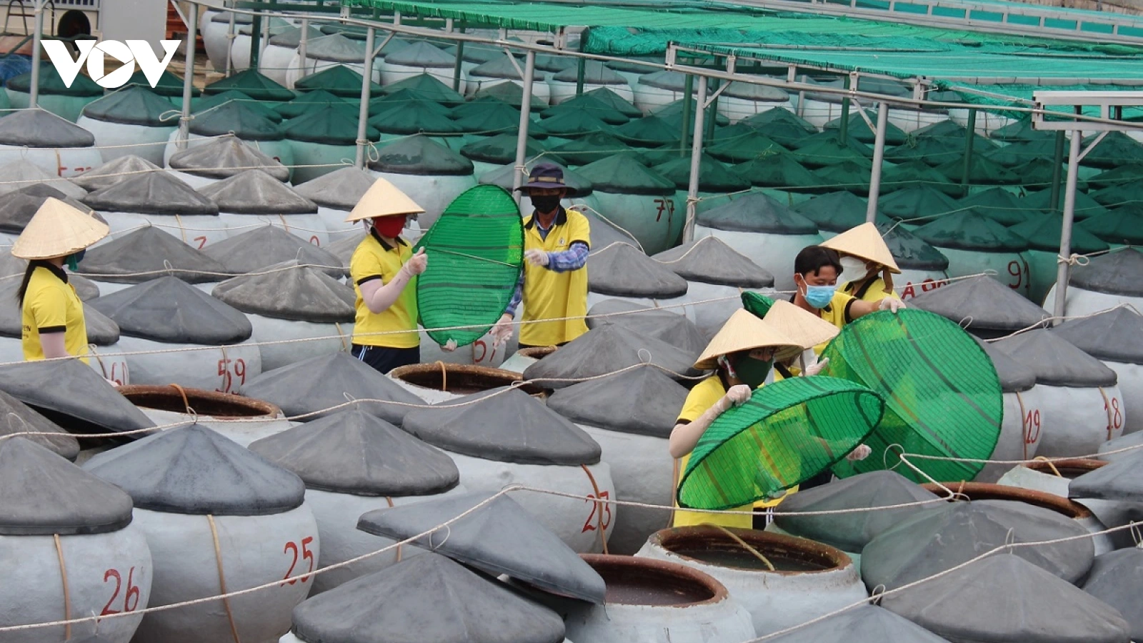 Nước mắm Phan Thiết: Hành trình 300 năm và con đường đến di sản văn hóa